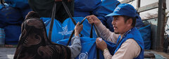 HERAT, WESTERN AFGHANISTAN, IOM teams provide higeine kits to earthquake-affected people in Herat.