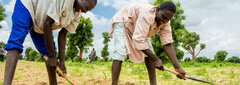 Gongulong, Nigeria, Violence forced Ali Bukar and his family to leave Gongulong a few years ago to seek safety. They have now returned to continue working on their family farm. 