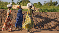 Rubkona town, Unity State, Women walk past a dyke carrying dry papyrus reeds on their heads in Rubkona town.